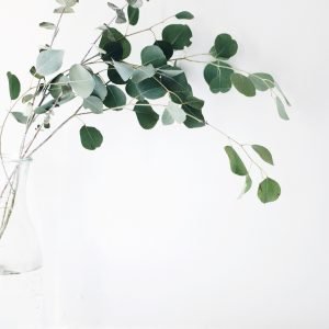 jazmin-quaynor-105210-unsplash jazmin-quaynor-105210-unsplash